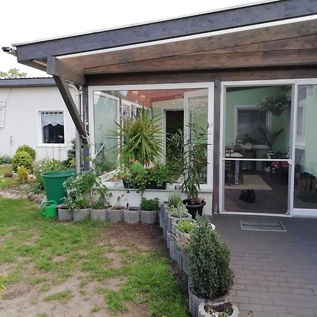 Ferienwohnung Zur Alten Schule Pritzwalk Eksteriør bilde